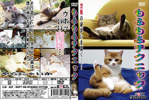 20120401 義大物治黃姓同學攜女上摩鐵 女伴大露雙D酥胸|即時動新聞| 蘋果日報