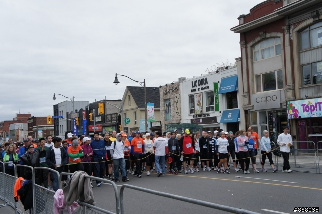 多倫多 Yonge st 10k