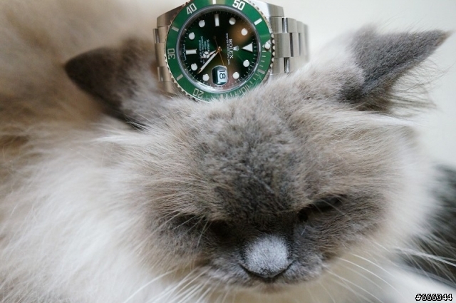 [簡單開箱文] ROLEX 116610LV