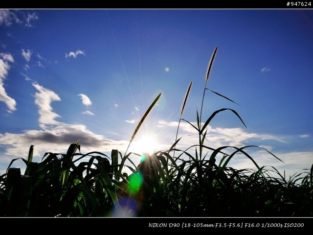 NIKON老兵D90 + KIT + 美到不像話的天空~
