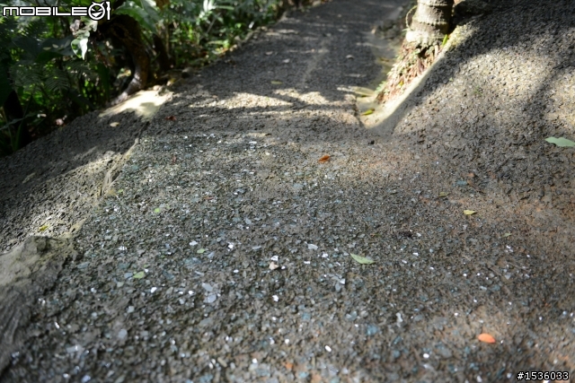 Nikon D800在哭泣湖開箱