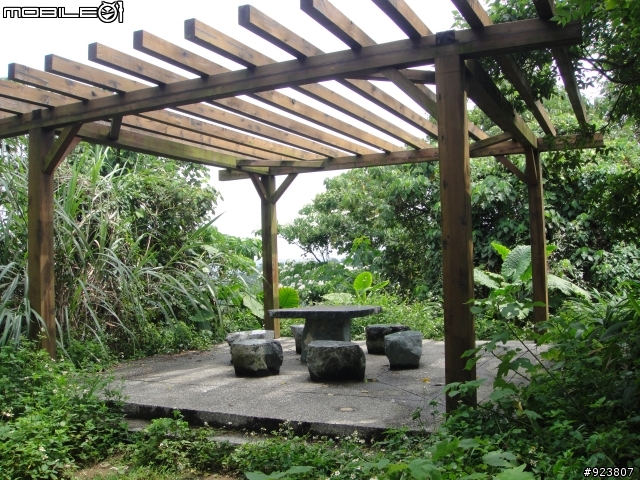 20120421  荷苞山賞桐登山階梯步道