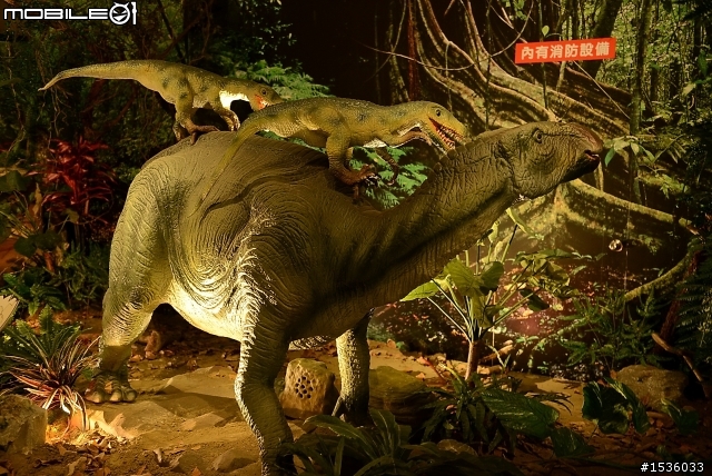 D800拍高雄科工館恐龍展，嘗試以色溫調白平衡。