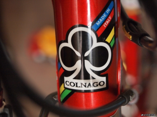 分享 我的可樂果 colnago