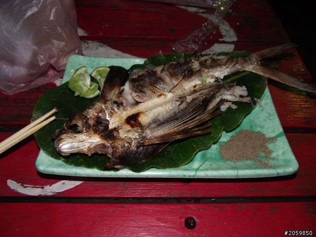 2010 那些蘭嶼的回憶 (圖多)