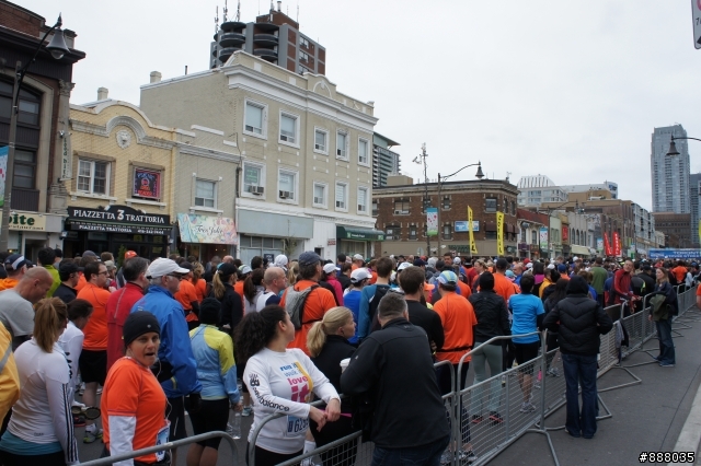 多倫多 Yonge st 10k