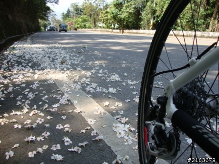 [車巡報告]4/14探日月潭、逐電廠