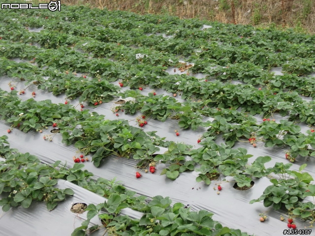 【全篇已更新完畢】4/1-4/7七天六夜雙人首次逆時針環島行