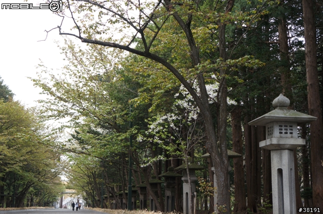 2012/05/12 北海道賞櫻之旅 Day 5 北海道神宮、大倉山滑雪競技場、新千歲機場