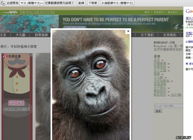 尼安德塔人滅亡是因為「狗」？研究：沒有眼白難博信任
