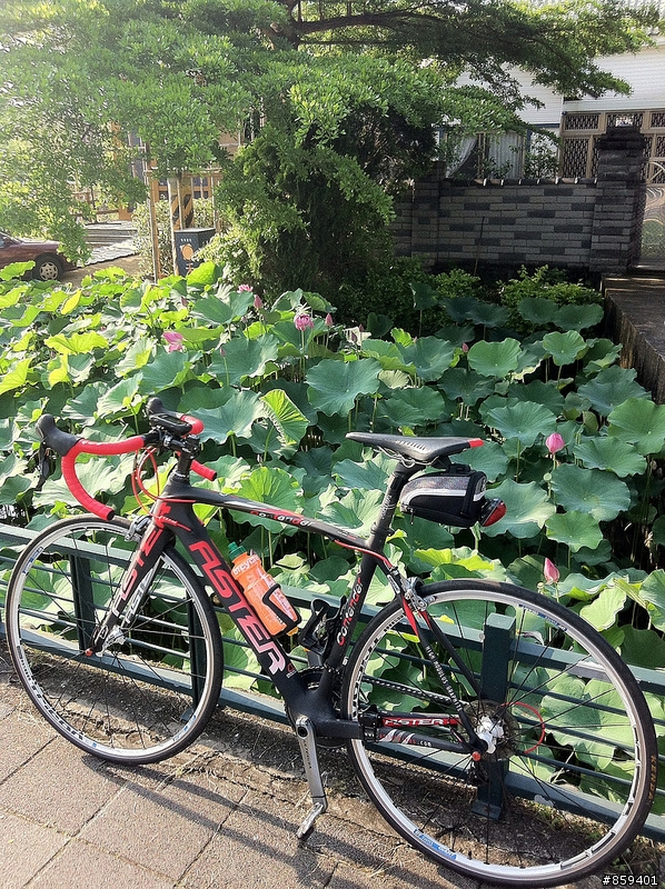 過期的ASTER CONTENDER開箱