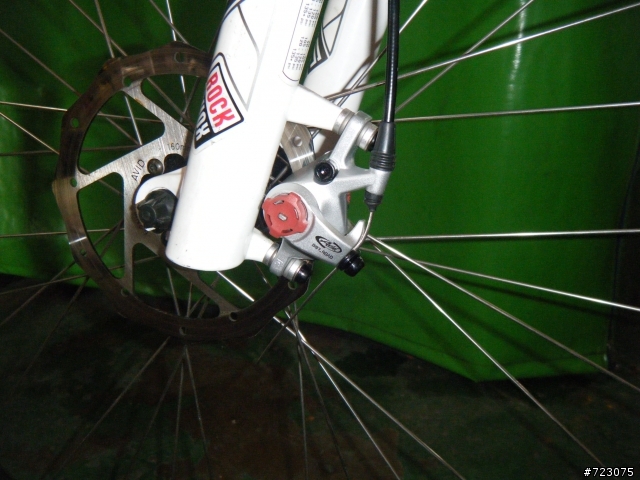 冷門車單速29ER