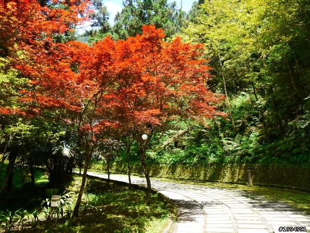 [2012-5-1 這次單人-單日雙北]-我愛龜山島