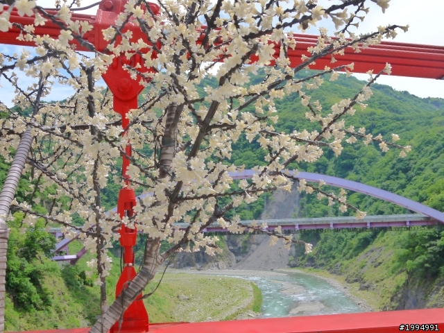 [2012-5-1 這次單人-單日雙北]-我愛龜山島