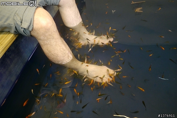 宜蘭礁溪好地方出遊隨手拍分享