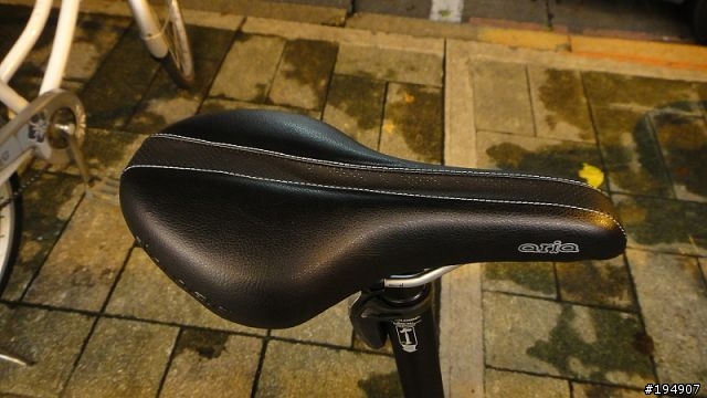 嗚~~~NO! 大家來聞香!DAHON UNO 單速車 來囉!