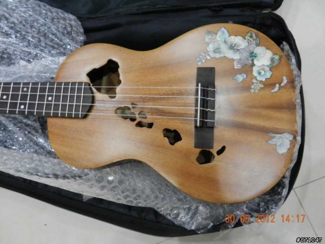 我的第一把單板烏克麗麗(UKULELE) 開箱