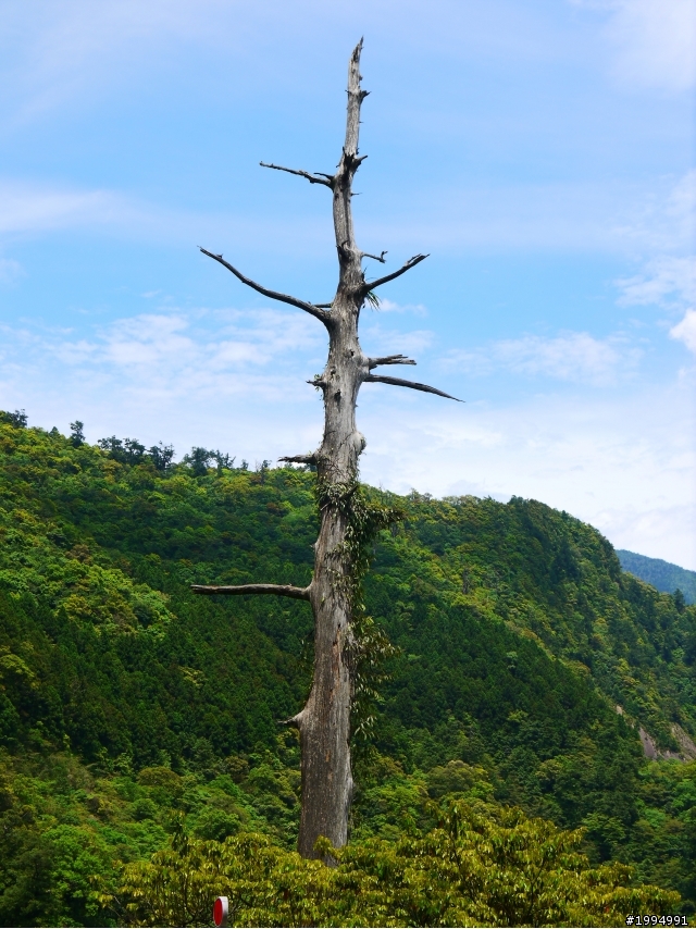 [2012-5-1 這次單人-單日雙北]-我愛龜山島