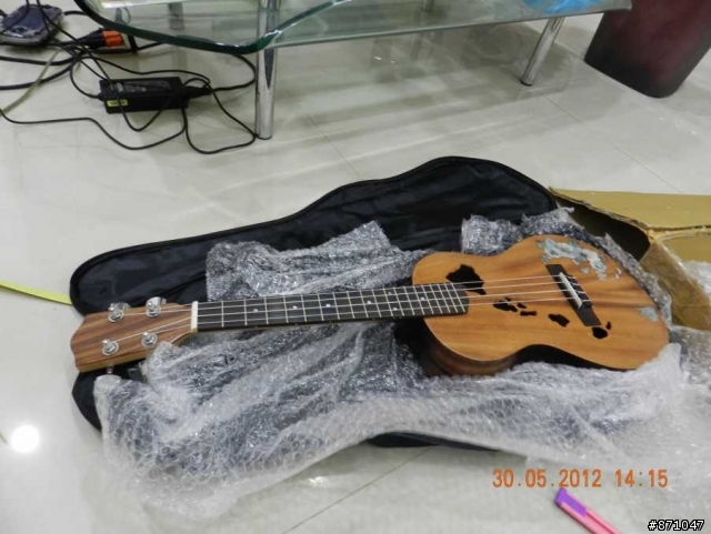 我的第一把單板烏克麗麗(UKULELE) 開箱
