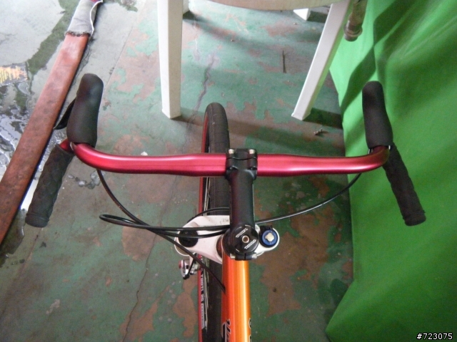 冷門車單速29ER