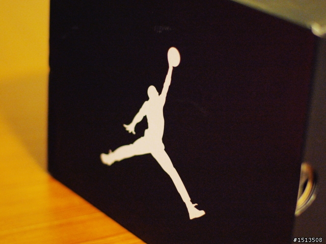 AIR JORDAN XII retro playoff - 簡單開箱
