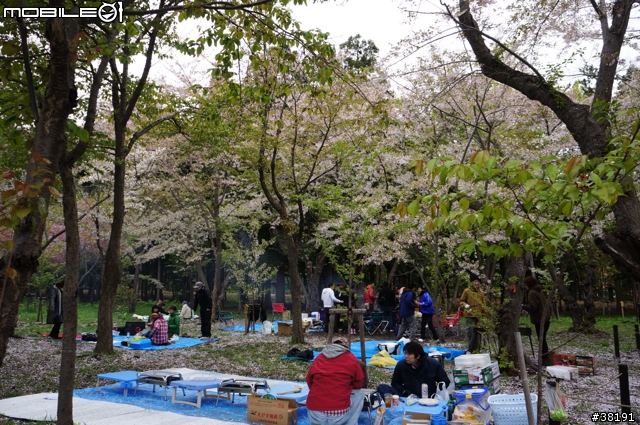 2012/05/12 北海道賞櫻之旅 Day 5 北海道神宮、大倉山滑雪競技場、新千歲機場