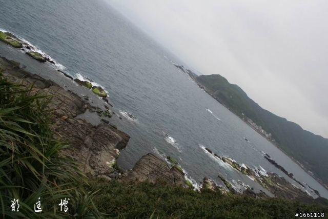 繾綣台灣的浪漫傳說【鼻頭角百合戀】