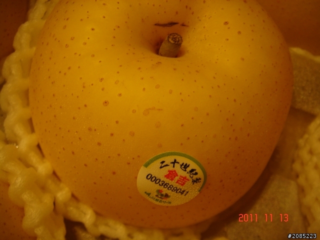 鳥取梨