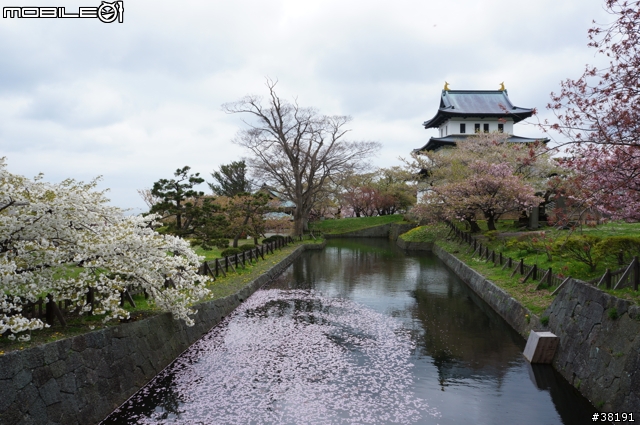 2012/05/10 北海道賞櫻之旅 Day 3 松前町公園、昭和新山、熊牧場、洞爺湖