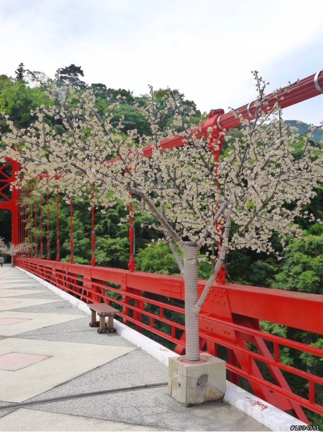 [2012-5-1 這次單人-單日雙北]-我愛龜山島
