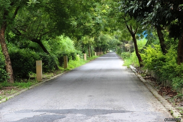 騎 向 屏 東 科 技 大 學