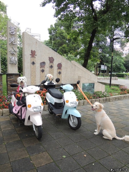 省道一姐輕省生活之絕代雙woo！
