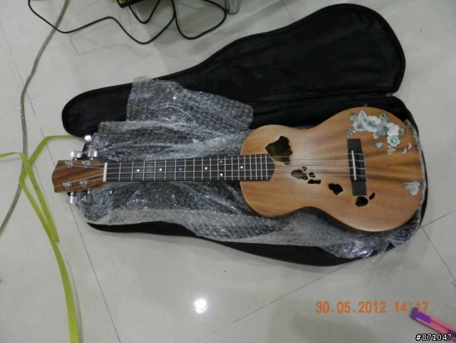 我的第一把單板烏克麗麗(UKULELE) 開箱