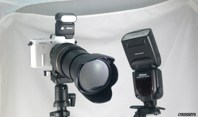 Nikon1家族：母親節到了，回來拍全家福！