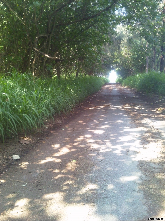 小徑散步