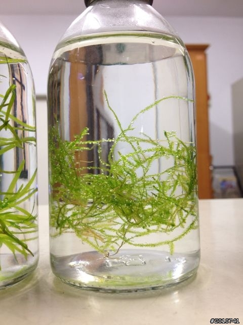 分享...辦公室裡的小玩意!