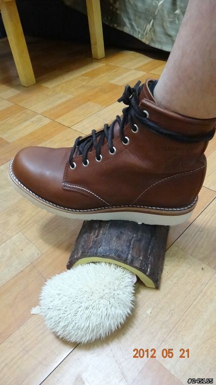 (開箱)-我要一次開5箱-mansway & chippewa & red wing & whites (圖多慎入)