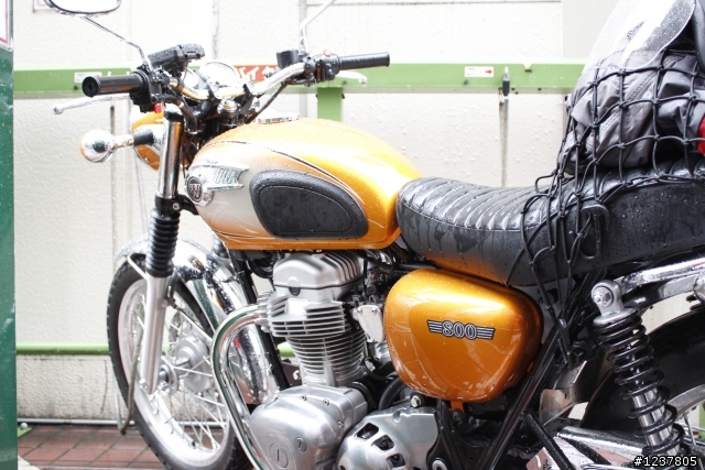 [Kawasaki W800]東京-山梨 隨意騎騎