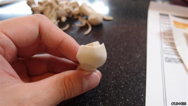 [五星] 恩蓋季SR1