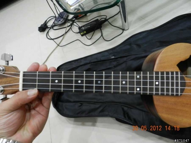 我的第一把單板烏克麗麗(UKULELE) 開箱