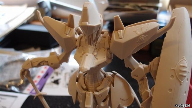 [五星] 恩蓋季SR1