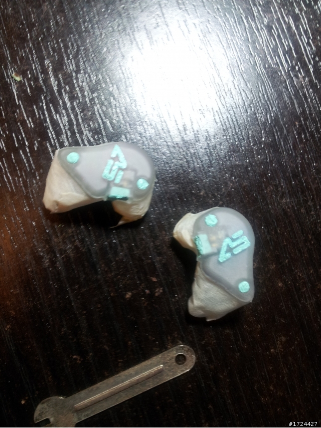 [手賤開箱]Aurisonics ASG-1上色！？