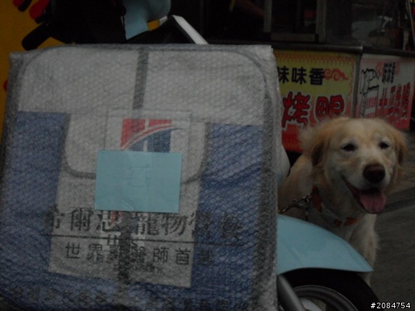 省道一姐輕省生活之絕代雙woo！