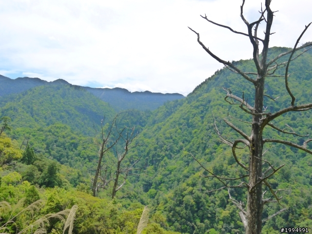 [2012-5-1 這次單人-單日雙北]-我愛龜山島