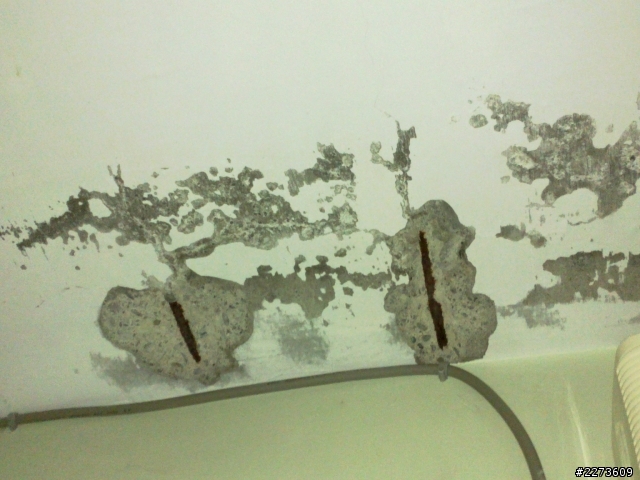 壁癌可以用立邦防水膠處理嗎