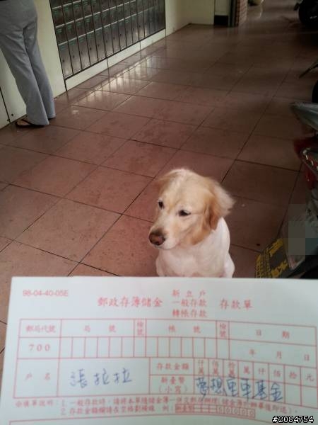 省道一姐輕省生活，噗哧女孩向前衝！