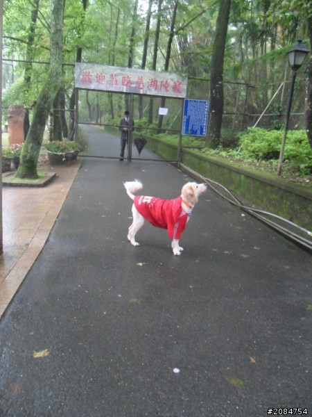 省道一姐輕省生活之絕代雙woo！