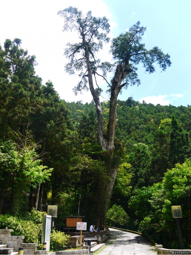 [2012-5-1 這次單人-單日雙北]-我愛龜山島