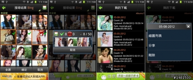 [分享] 快速搜尋網路圖片下載儲存(Bing Google Picasa Flickr)