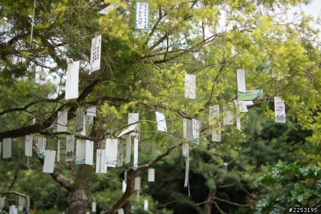 [愛車出遊] 帶著大小老婆上 ”天空步道” 之行 (附女王圖，請勿嫌棄)